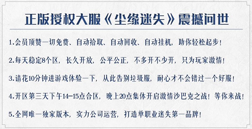 11月尘缘迷失无限刀单职业传奇版本-带假人-带光柱-神力锻造-GOM - GOM